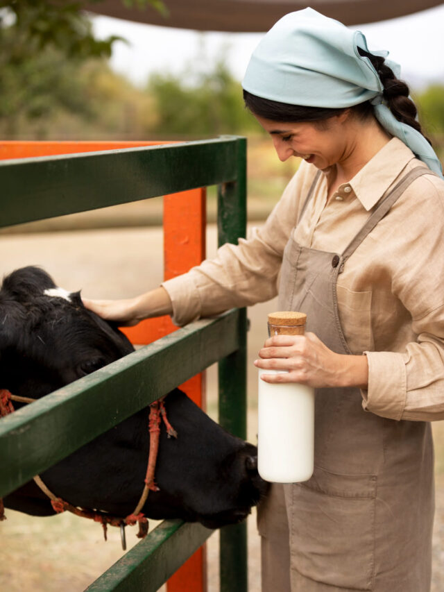 Bihar Dairy Farm Yojana 2024: 50-75% सब्सिडी, जानें आवेदन प्रक्रिया !