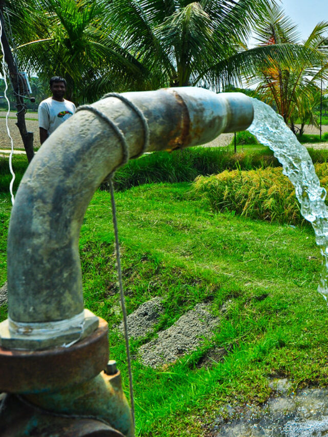 Bihar Poultry Farm Yojana 2024