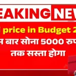 Gold price in Budget 2025