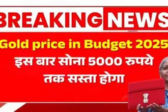 Gold price in Budget 2025